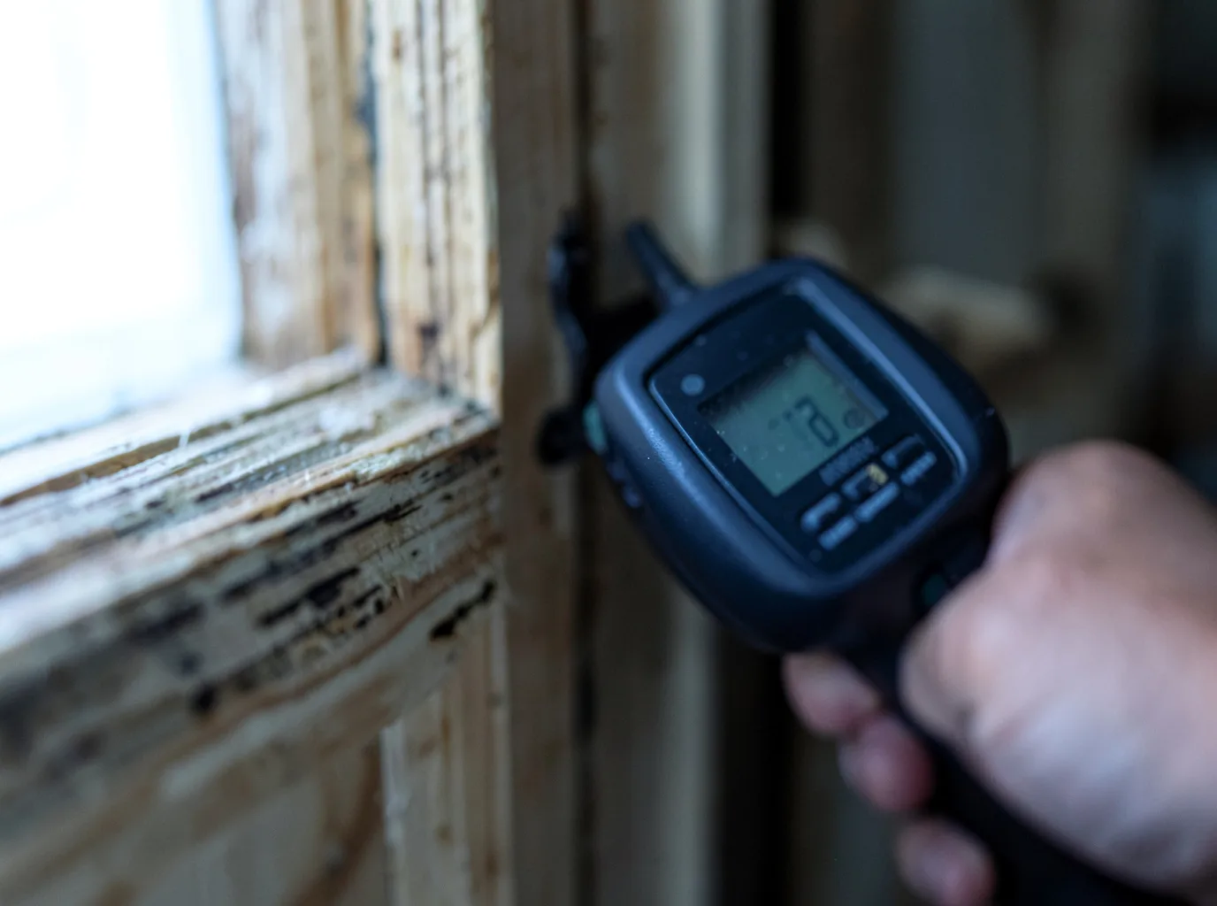Moisture Inspection And Documentation in Cortland, OH